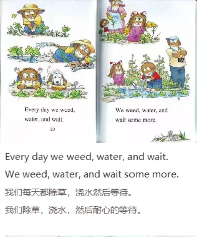 《A Green, Green Garden》绿油油的菜园08.jpg