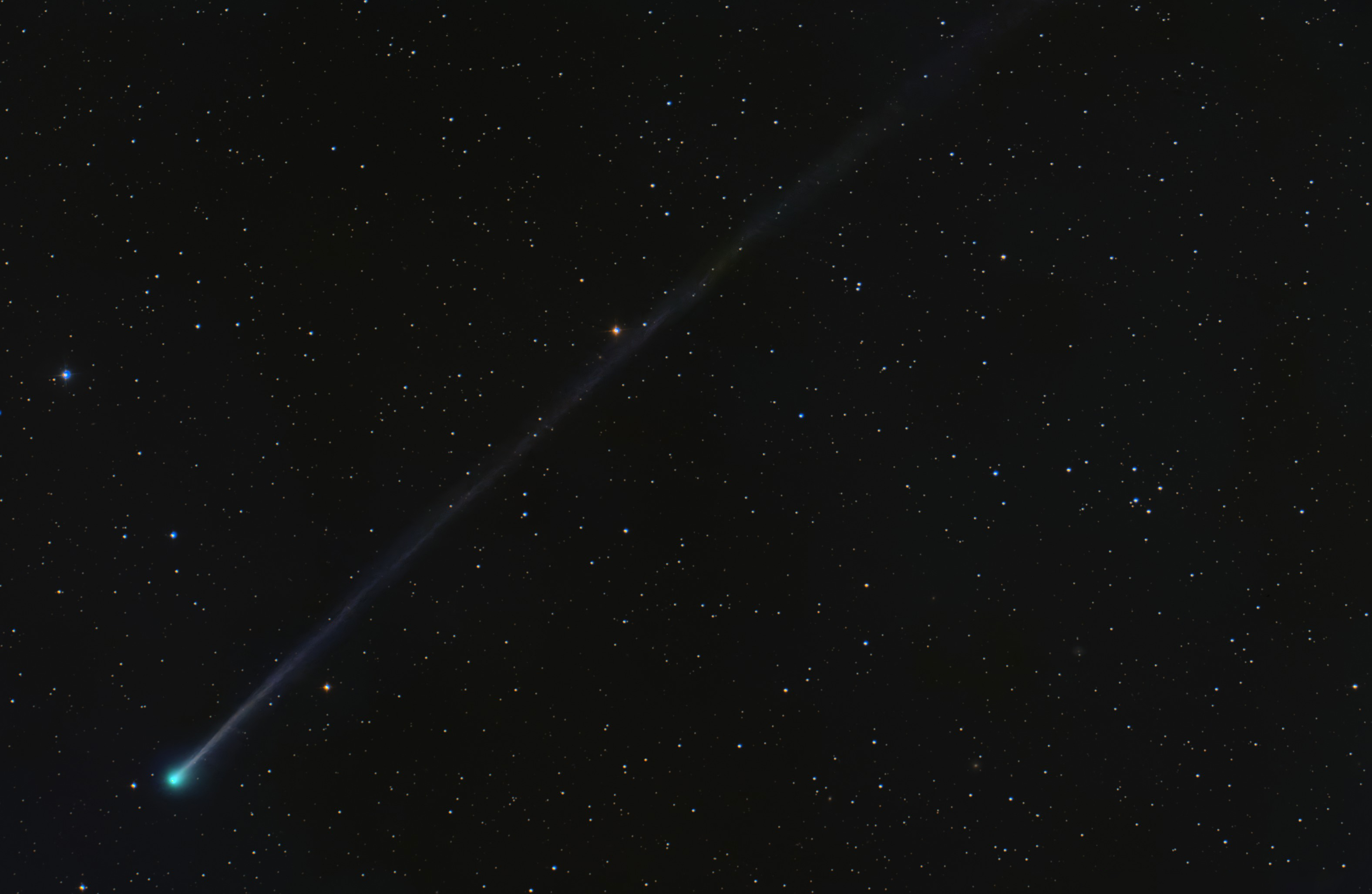 室女星系团的星系