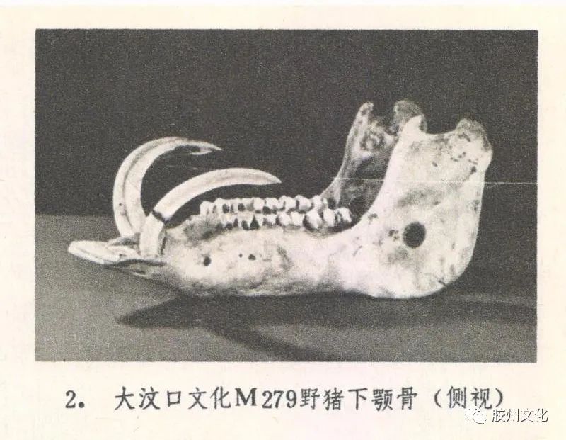 按图索骥4.jpg