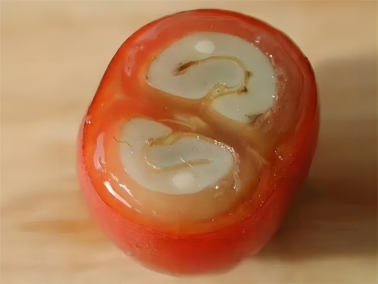 图1-1-4 咖啡平豆(4).jpg