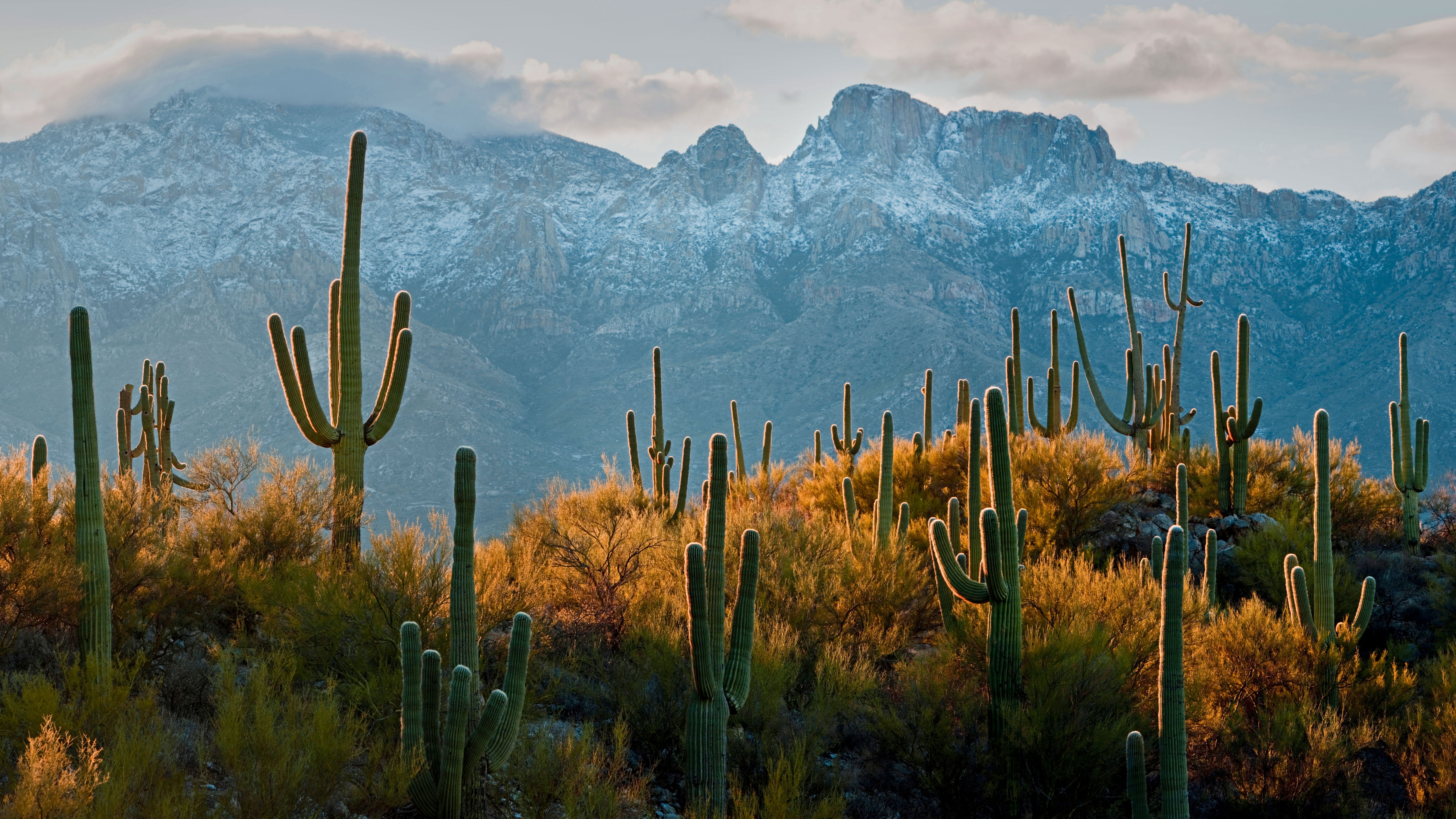 4K高清电脑壁纸 亮眼 精选 日常桌面首选 #3041