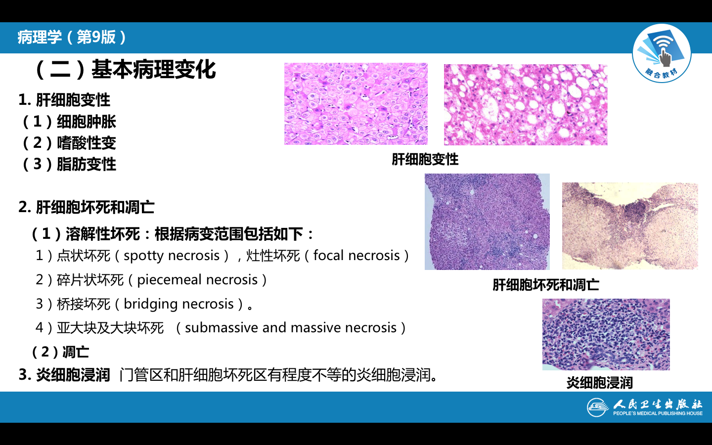 屏幕快照 2021-10-19 下午5.31.56.png