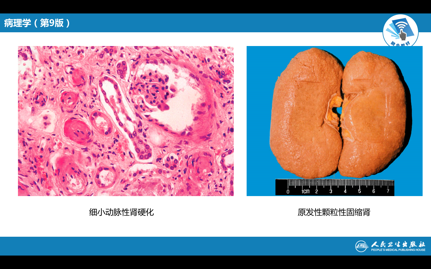 屏幕快照 2021-09-28 上午10.54.11.png