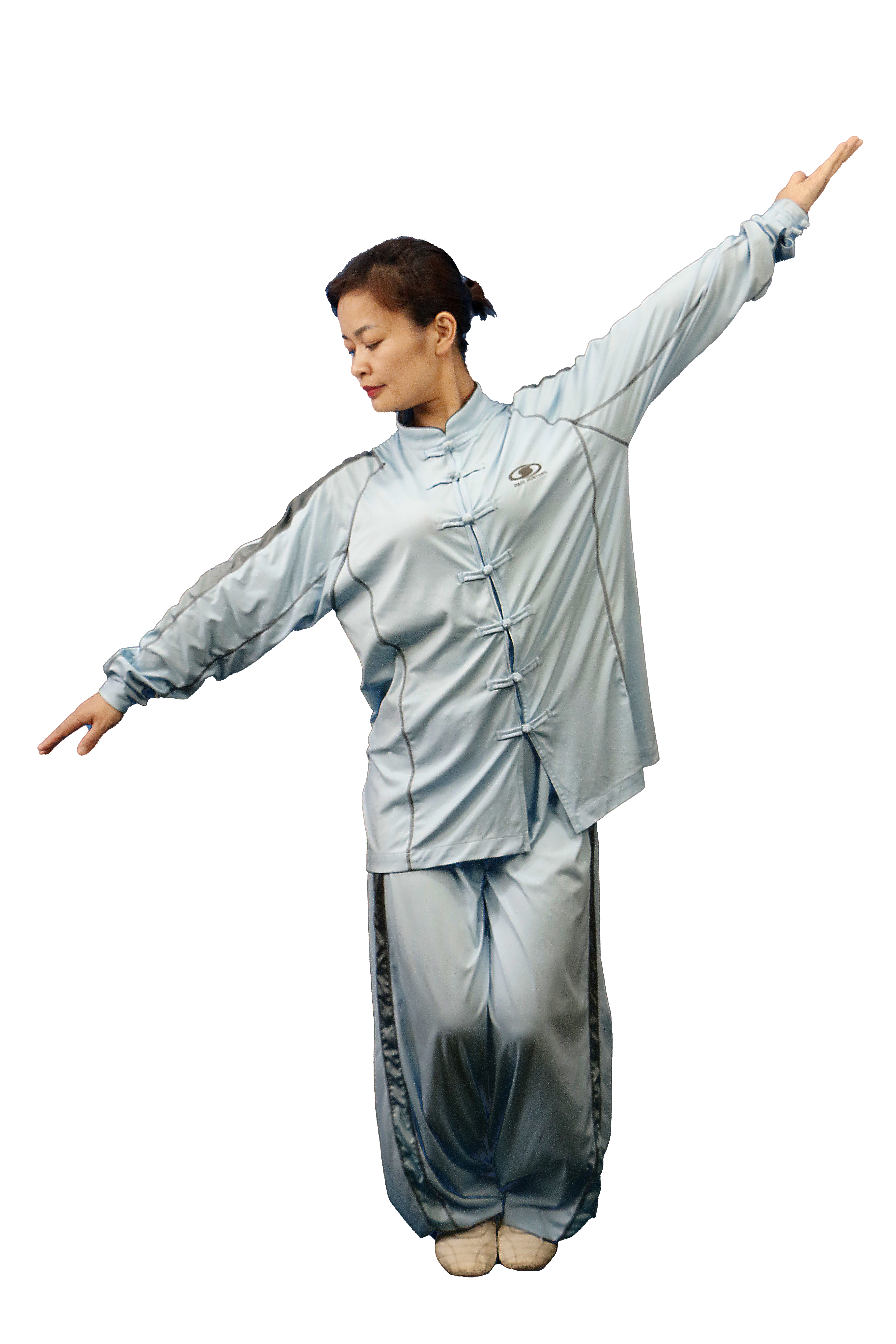 第九式 雁飞.png