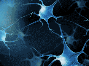 01013b5baf71f2a8012099c8de92ff.gif