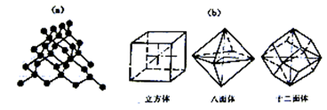课程门户-章节详情