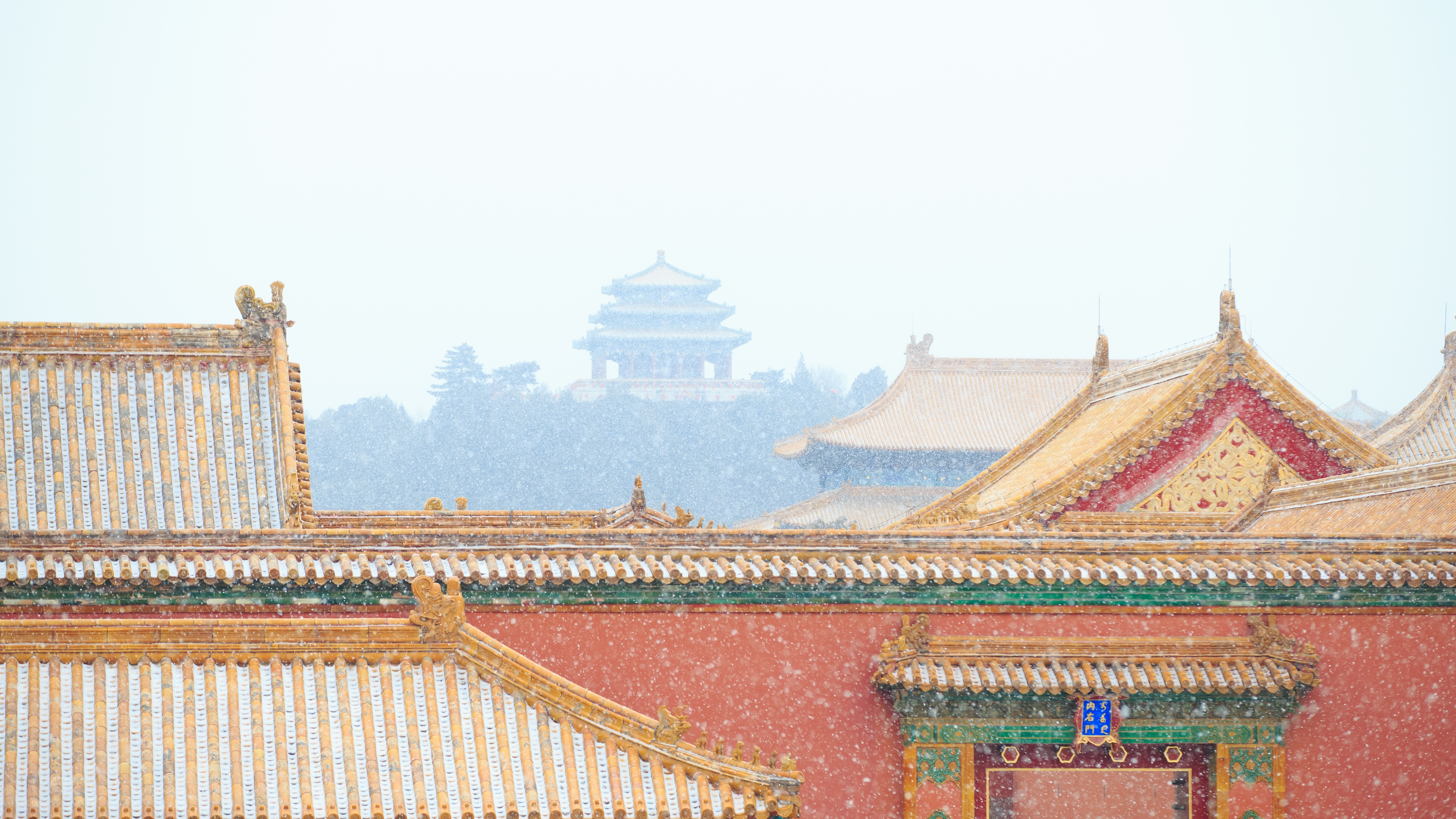 Snake壁纸 #39672