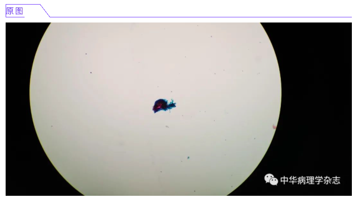 屏幕快照 2021-03-03 下午4.57.14.png