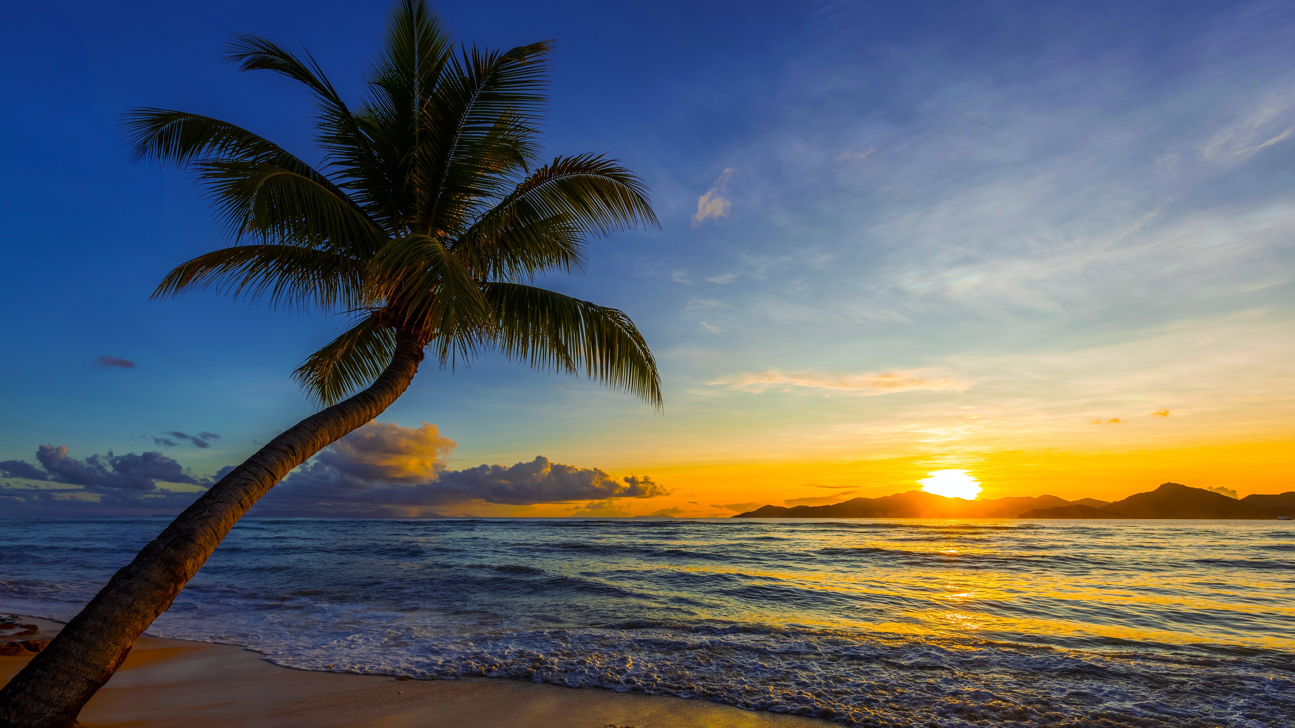 无水印高清壁纸 超清 全尺寸 日常桌面首选 #1684