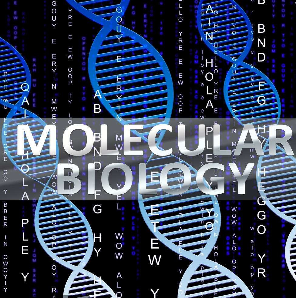 2025年春-分子生物学课程封面