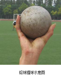 铅球握球.png