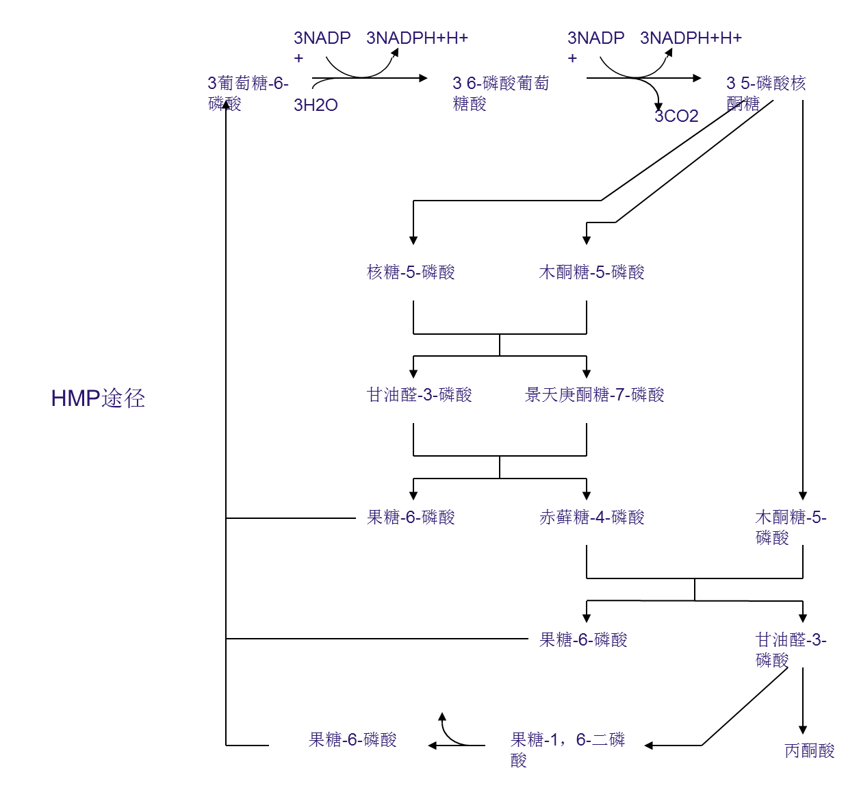 课程门户-章节详情