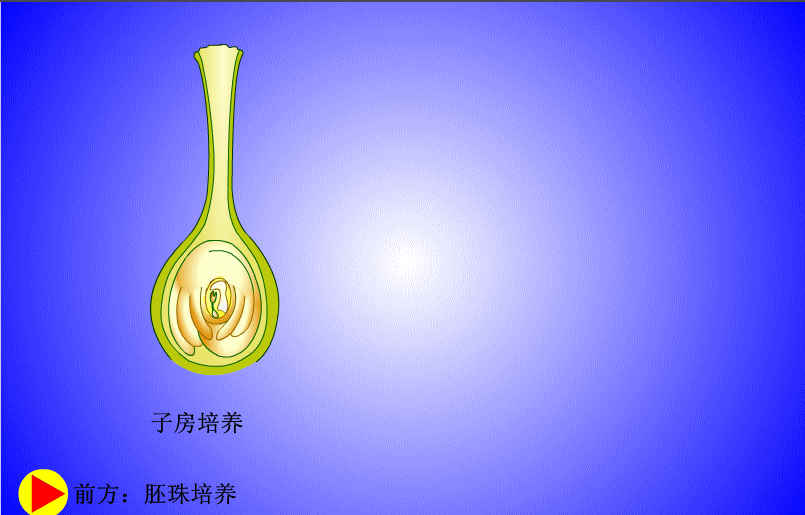 课程门户-章节详情