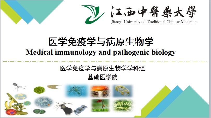 医学免疫学与病原生物学课程封面