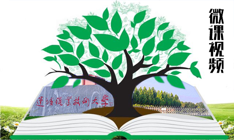 微课视频.jpg