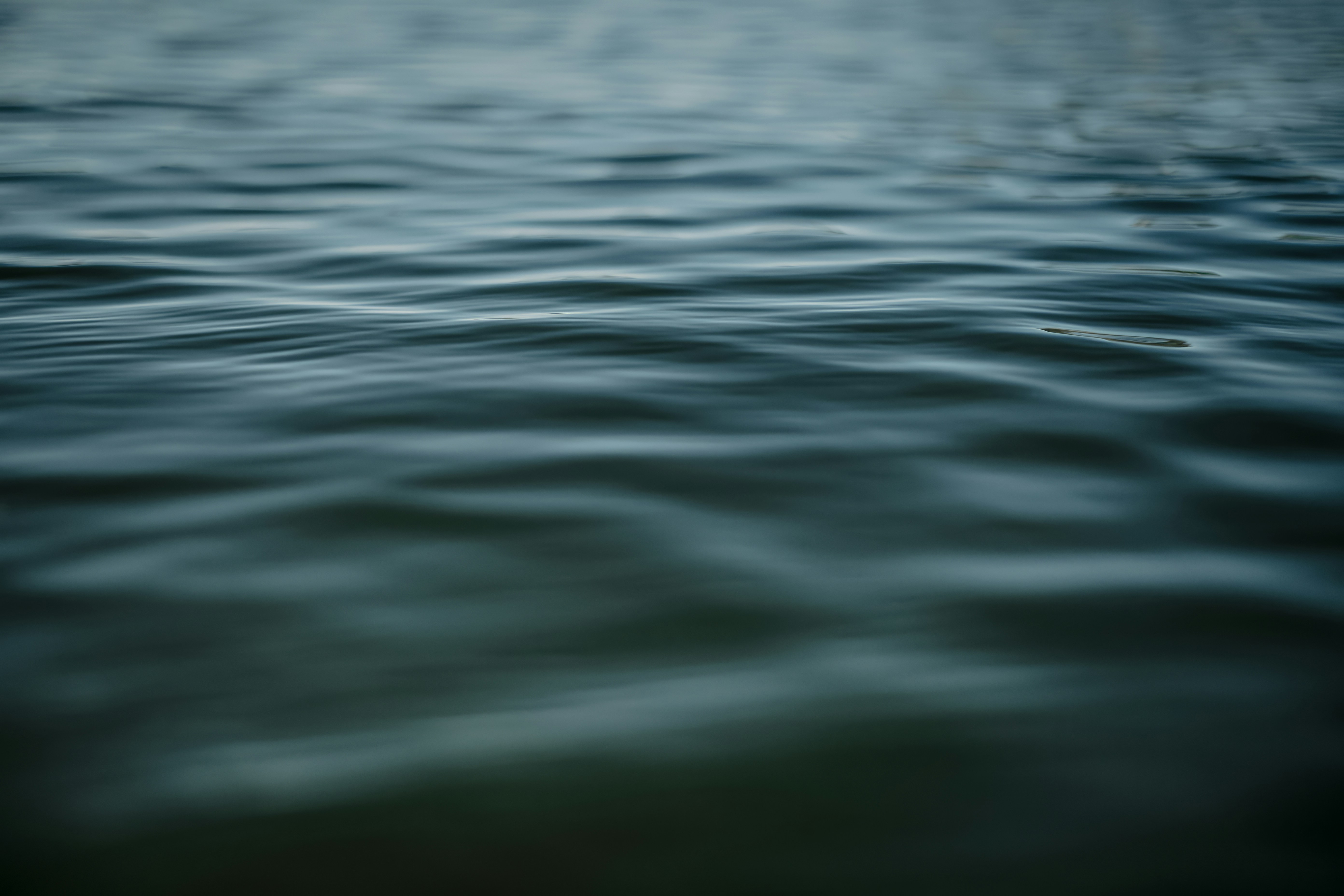 Unsplash精选 4K超清 景深 画质巅峰 电脑桌面专用