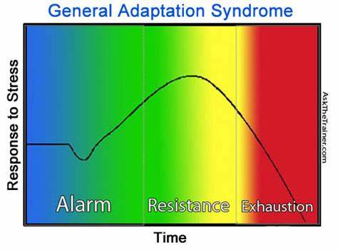 OIP.jpg