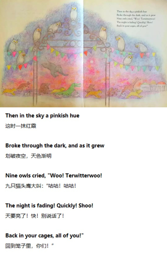 《One Night in the Zoo》动物园之夜07.jpg