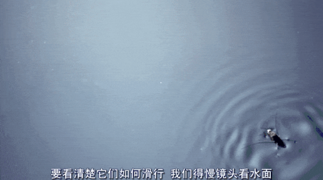 微信图片_20210122211616.gif