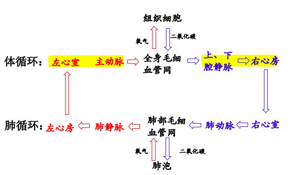 屏幕快照 2021-03-22 下午10.42.24.png