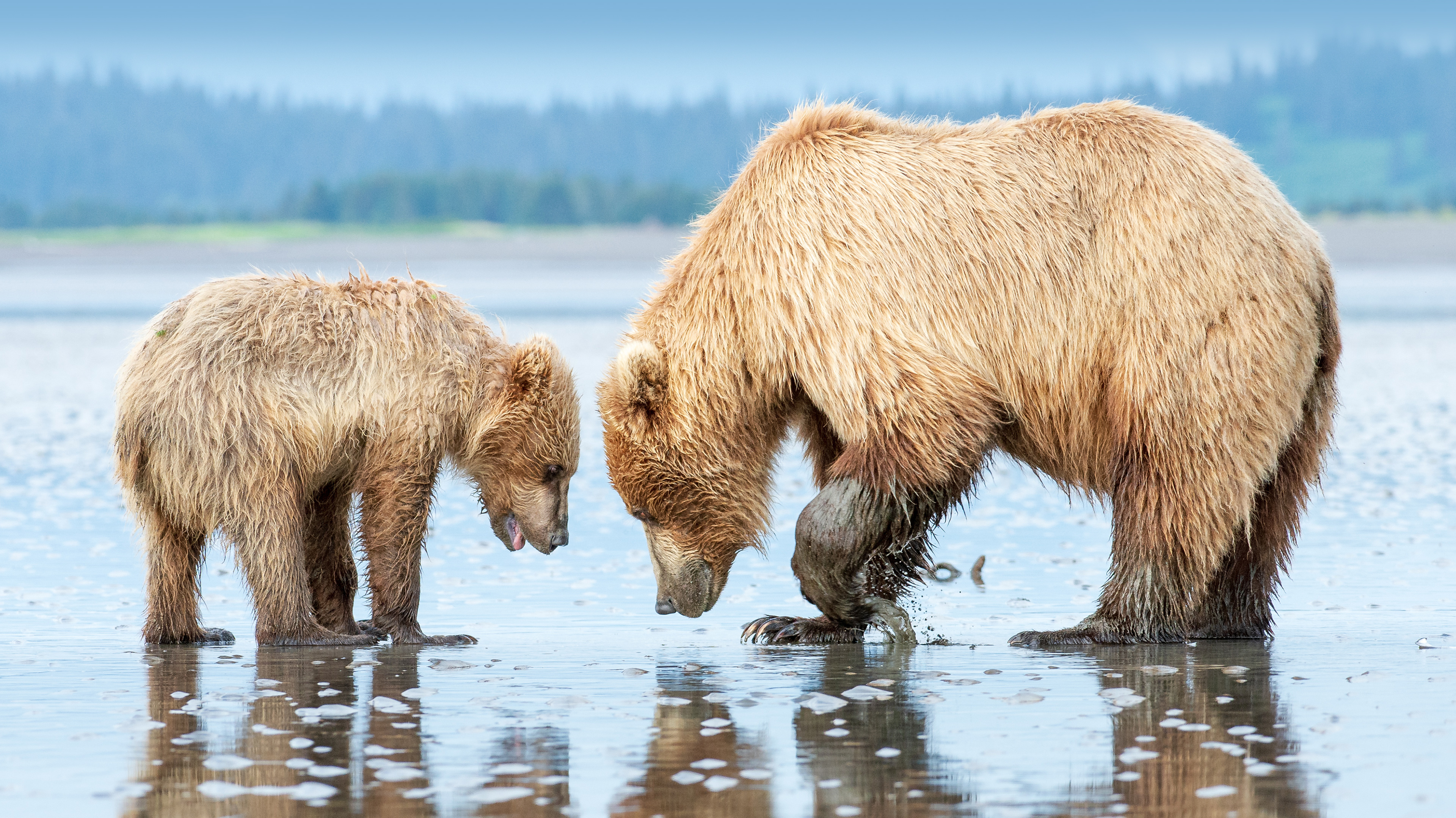 4K高清电脑壁纸 时尚 原版 电脑桌面专用 #25925