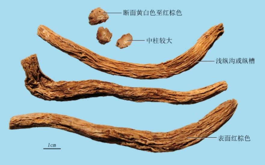 课程门户-章节详情