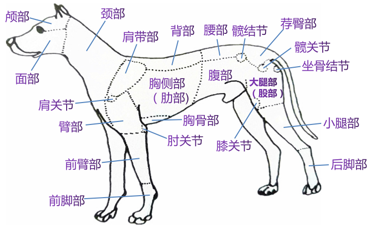 QQ图片20200904094754.png