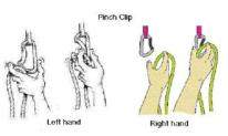 Pinch Clip.jpg
