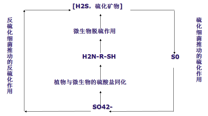 课程门户-章节详情