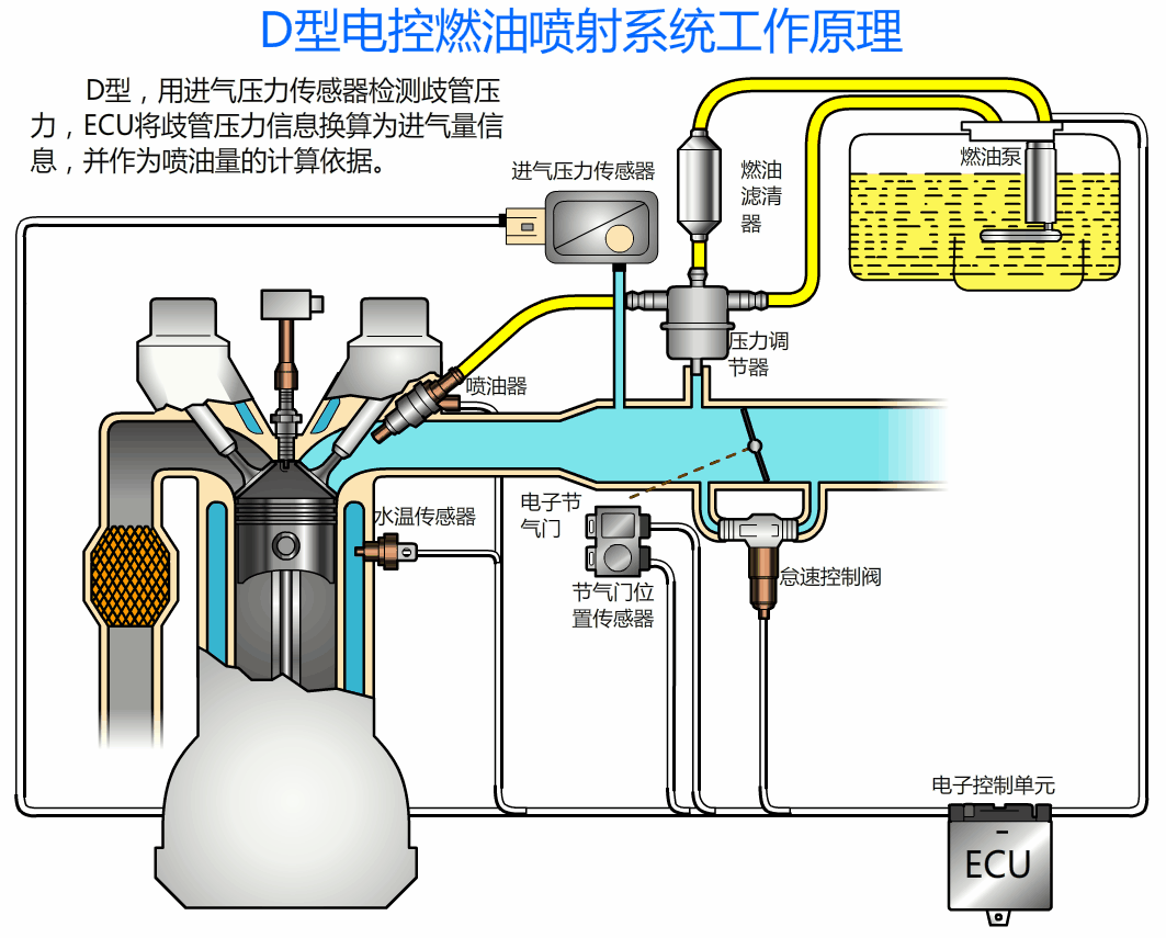 D型电控汽油喷射系统工作原理.gif