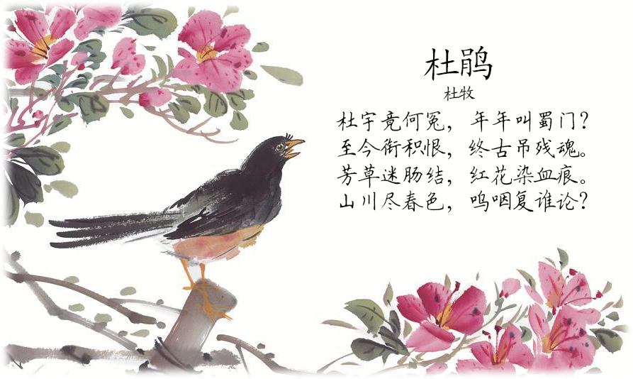 古诗词中鸟代表的意象_红楼梦诗词意象_诗词里的梅花之意象