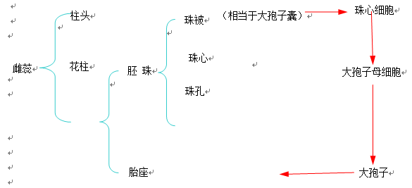 课程门户-章节详情