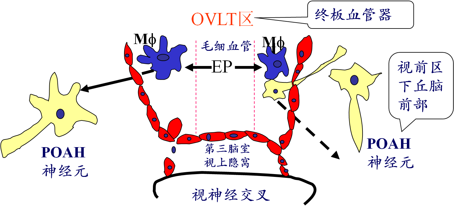 课程门户-章节详情