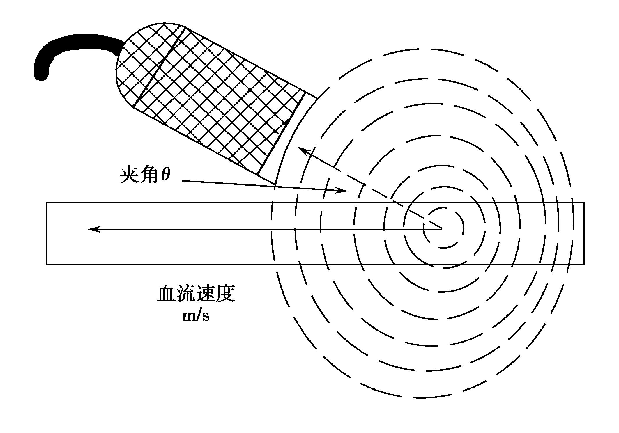 课程门户-章节详情