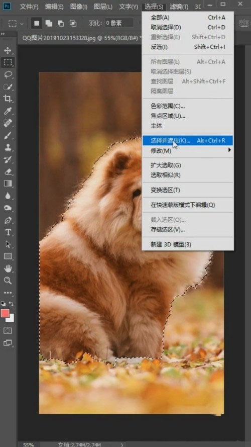 Photoshop怎么抠狮子狗(Photoshop抠狮子狗教程) Photoshop怎么抠狮子狗(Photoshop抠狮子狗教程)