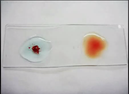 课程门户-章节详情