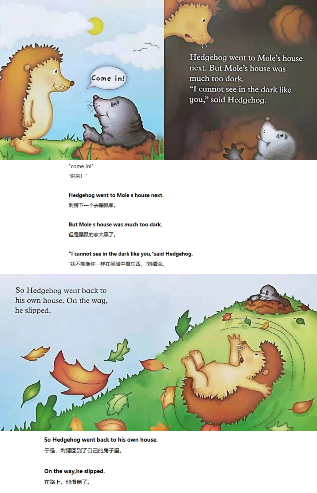 《A House for Hedgehog》刺猬的新家04.jpg