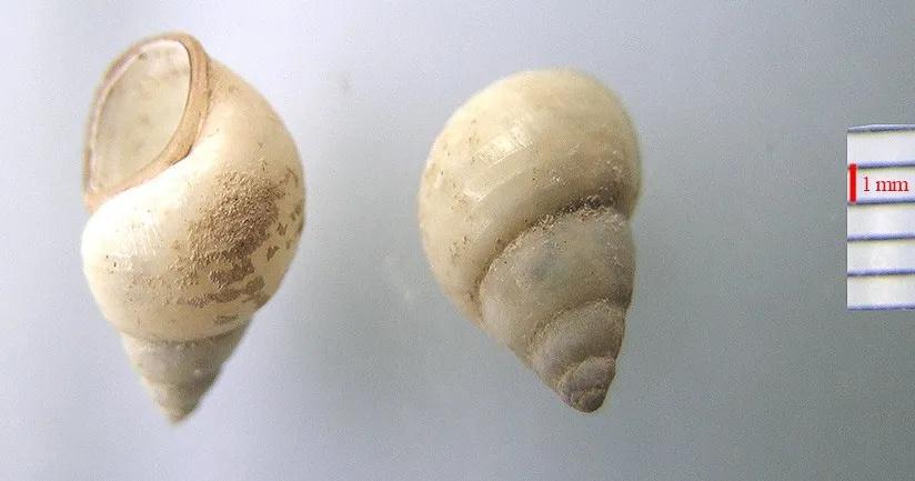 豆螺 微信图片_20201015162214.jpg