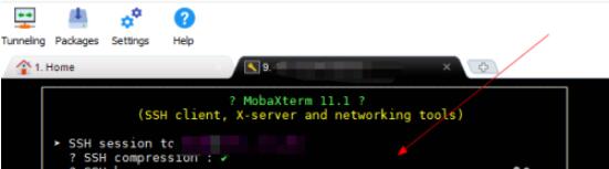 mobaxterm如何扫描端口(mobaxterm扫描端口方法) mobaxterm如何扫描端口(mobaxterm扫描端口方法)
