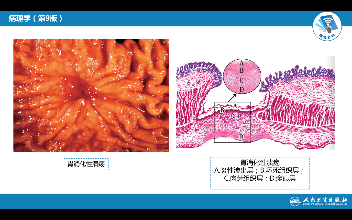 屏幕快照 2021-10-19 下午5.29.00.png