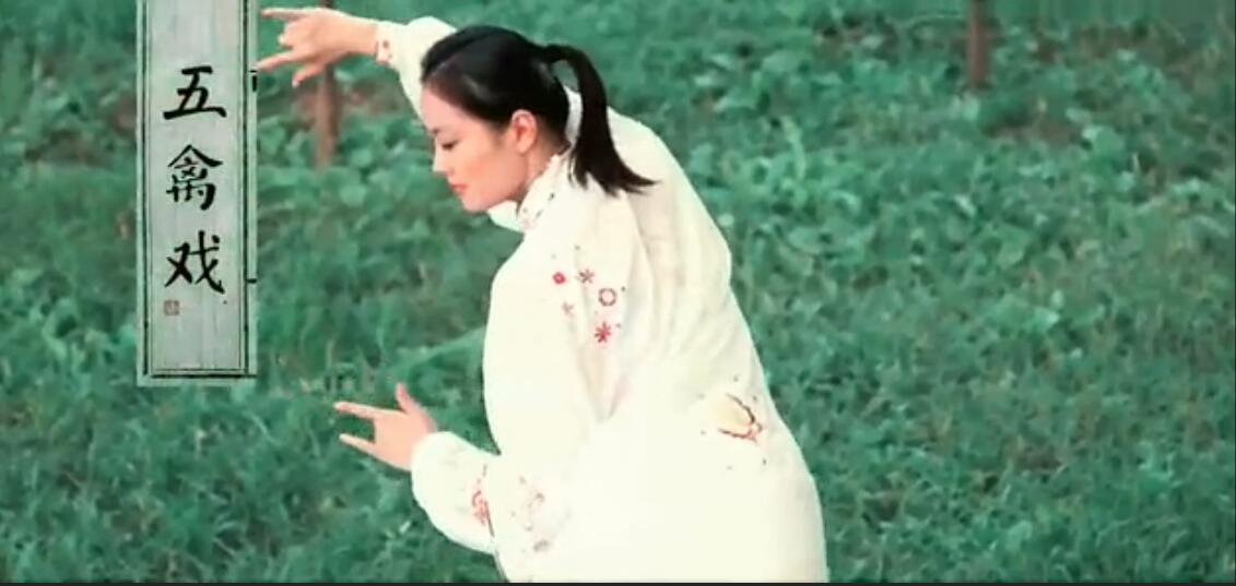 健身气功课程封面