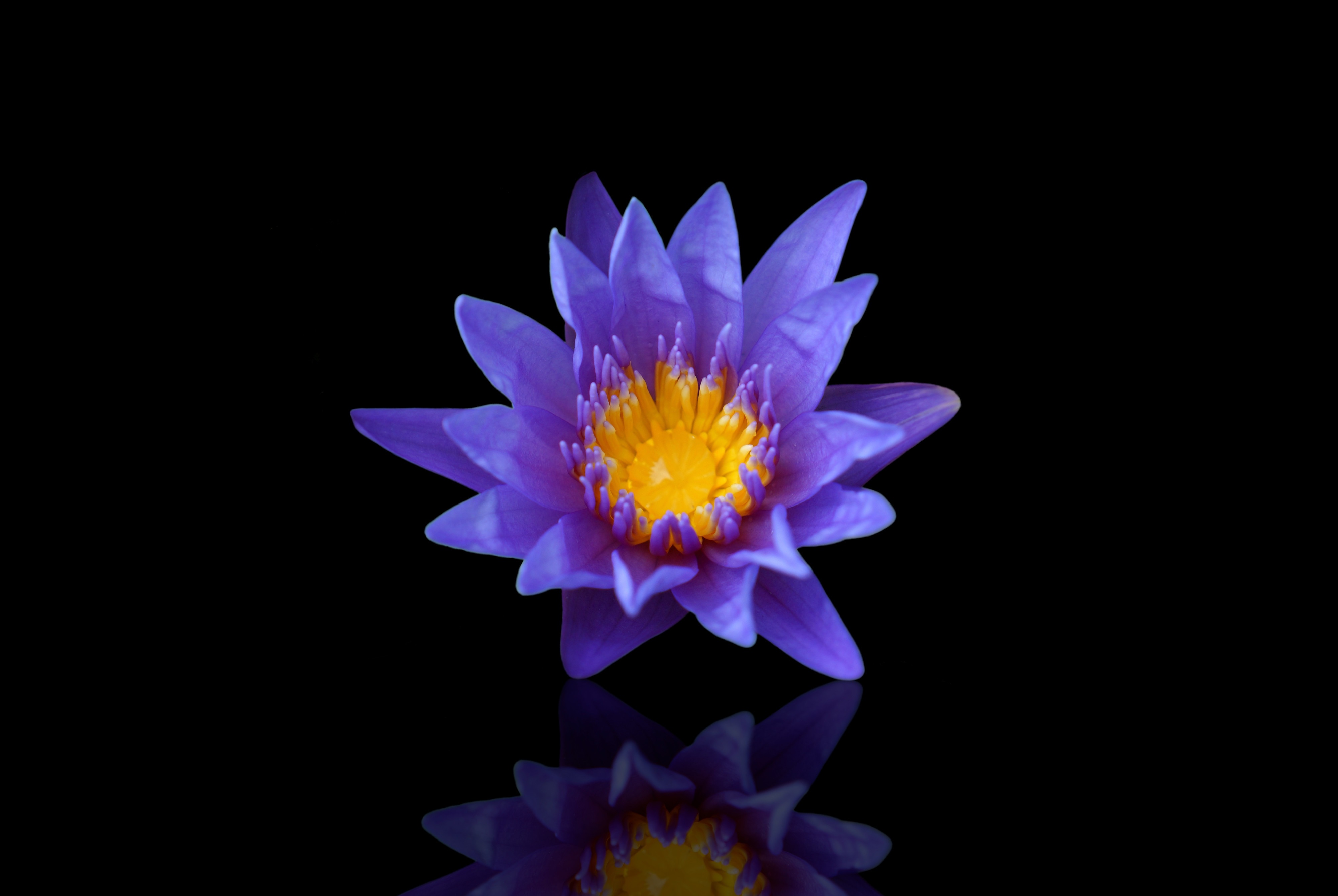 Pixabay壁纸 #72