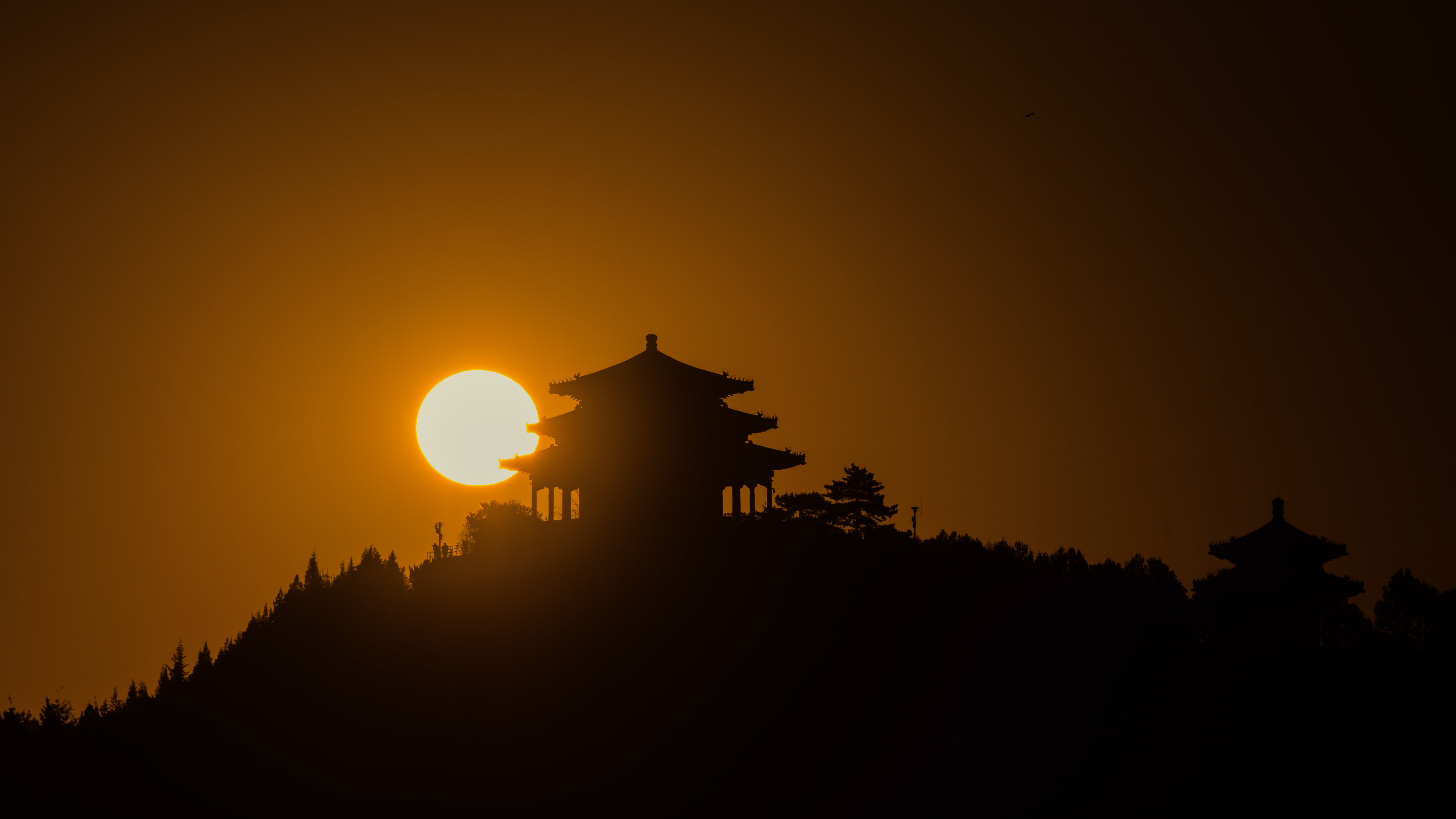大暑——桂轮开子夜，萤火照空时