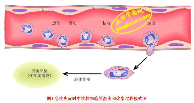 屏幕快照 2021-03-19 上午11.55.20.png