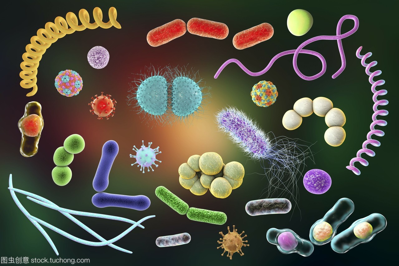 病原微生物与免疫学课程封面