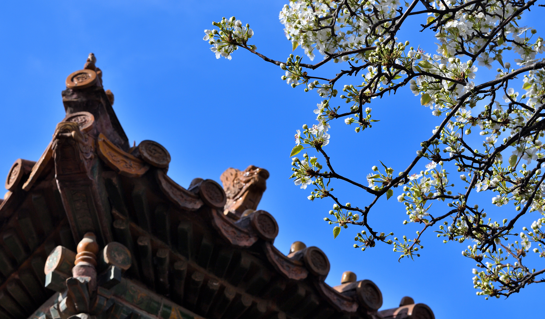 爱上这座城