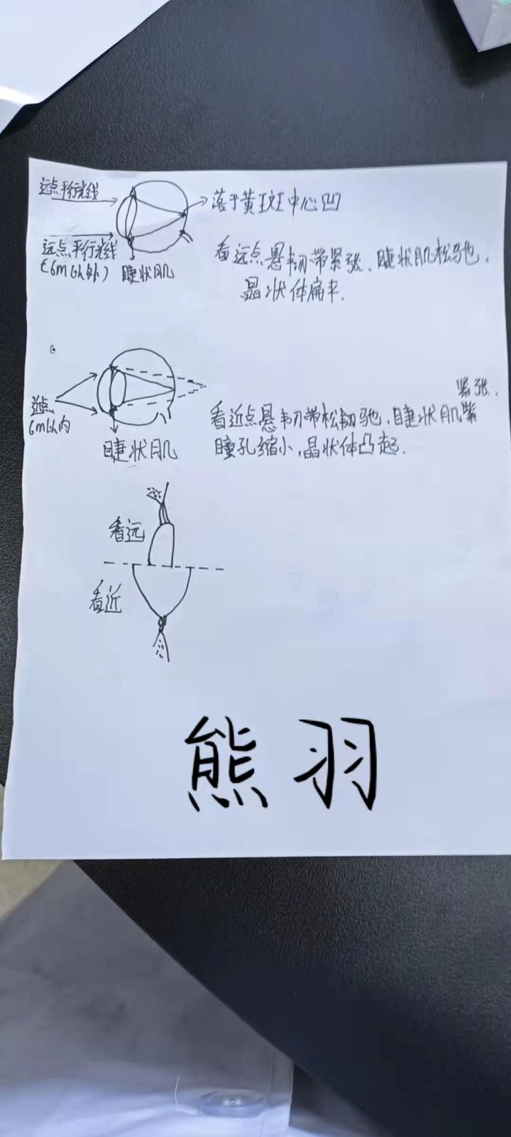 眼调节机制学生绘制图片1.png