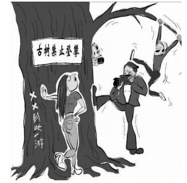 口试图片.png 口试图片.png