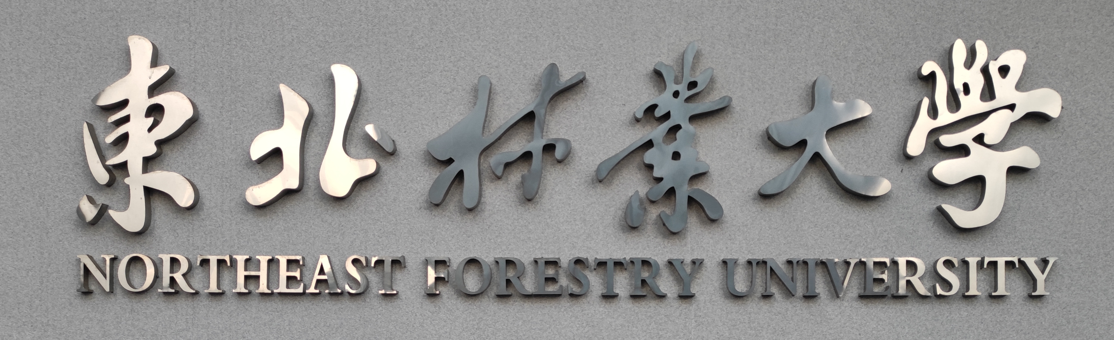 东北林业大学不锈钢.jpg