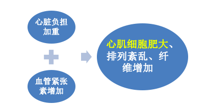 屏幕快照 2021-04-27 上午11.26.18.png